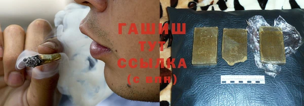 молекула духа Ельня