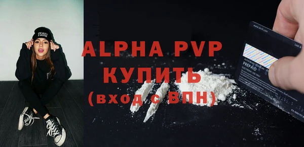 молекула духа Ельня