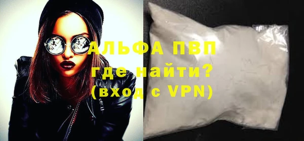 молекула духа Ельня