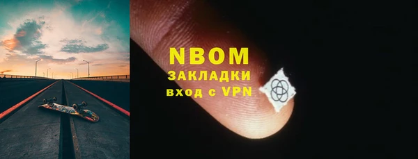 молекула духа Ельня