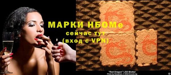 молекула духа Ельня