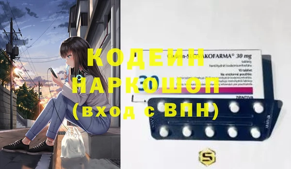 молекула духа Ельня