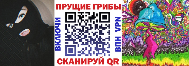 Псилоцибиновые грибы GOLDEN TEACHER Заволжск
