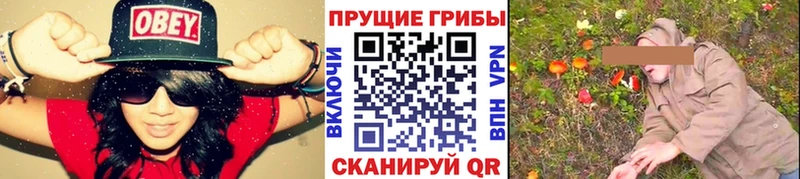 Галлюциногенные грибы Psilocybine cubensis Купить Заволжск